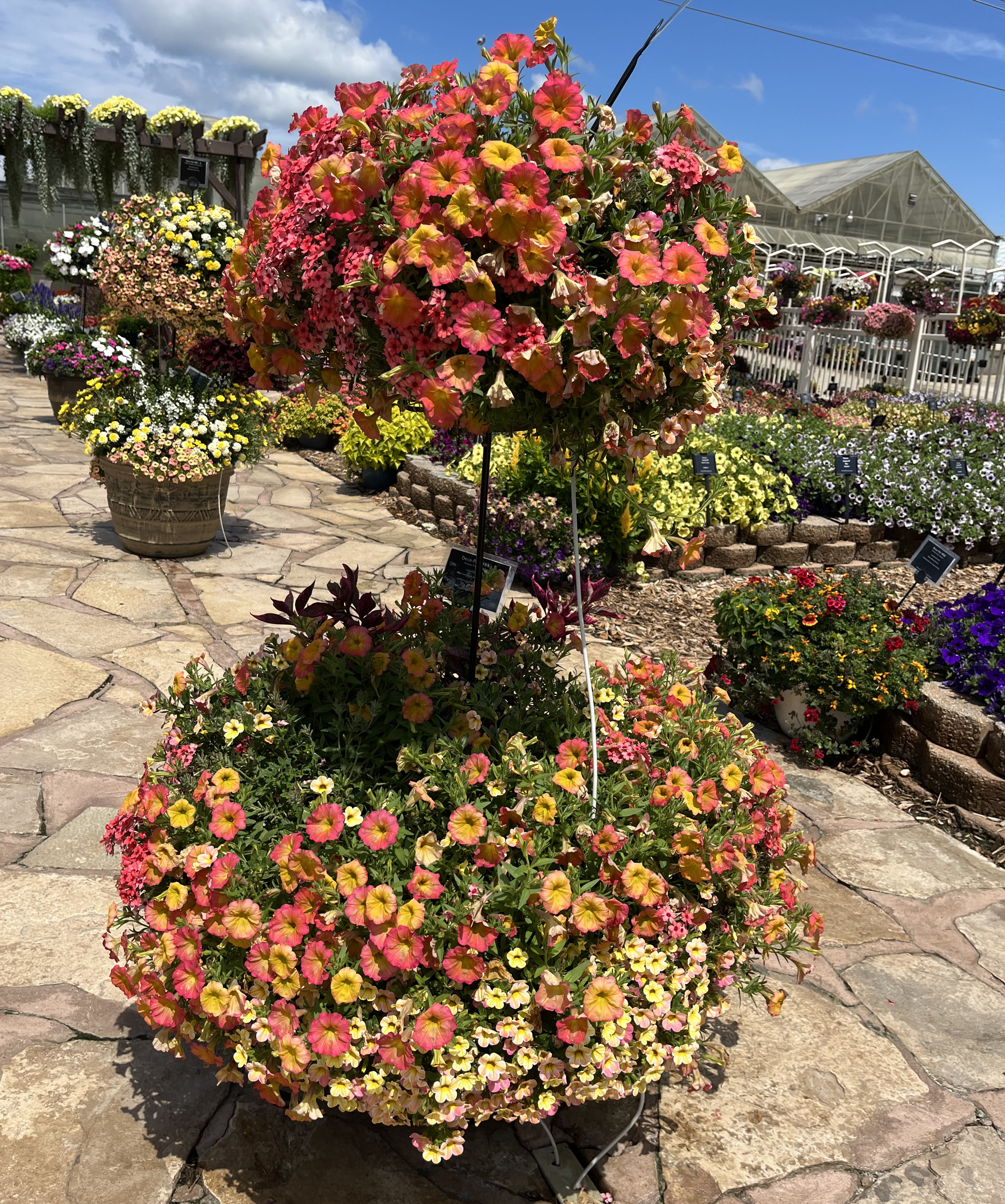 Peach combination planter.